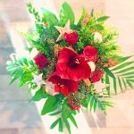 Strauss Amaryllis in rot