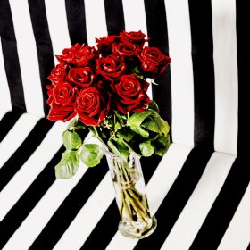 Klassisch rote Rosen